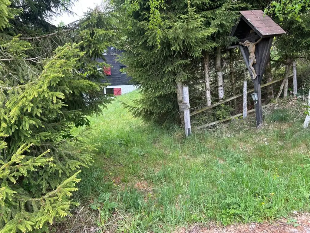 Region Hochrindl, tolles Alm Haus 80 m² mit 1500m² Grundstück, Wasser Quelle, Terrasse, öffentliche  Zufahrt  Kärnten, Preis € 169 000 !