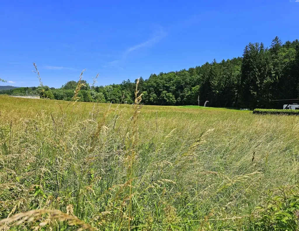 Wunderschönes, sonniges Grundstück am Ende einer Sackgasse!