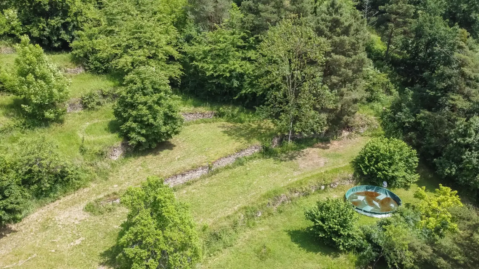 Sonniges Baugrundstück in Krems-Alauntal-Ihre zukünftige Ruheoase?