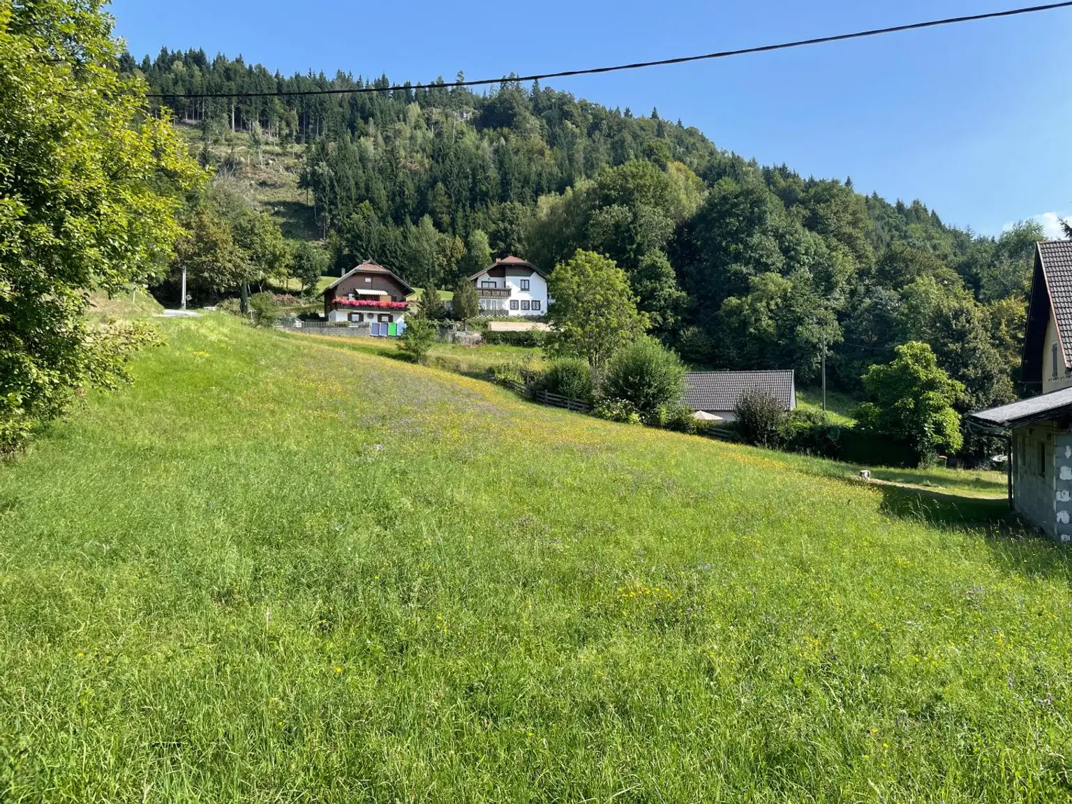 sonniger Ausblick