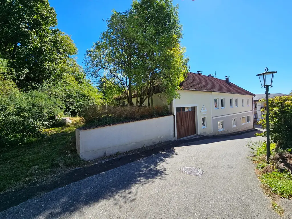 Großzügiges Wohnhaus mit großem Wirtschaftsgebäude und Schlossblick