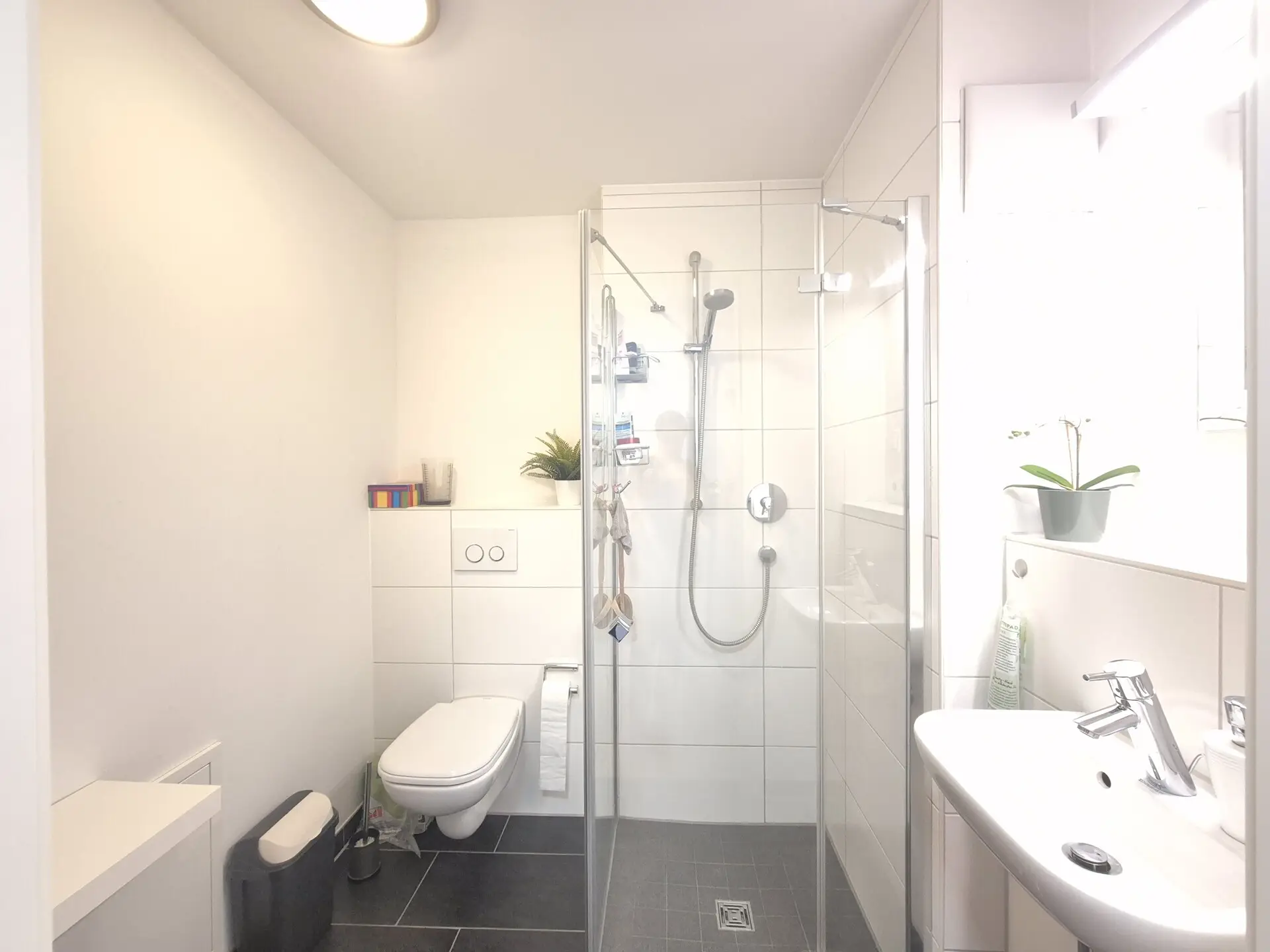 Gäste WC mit Dusche