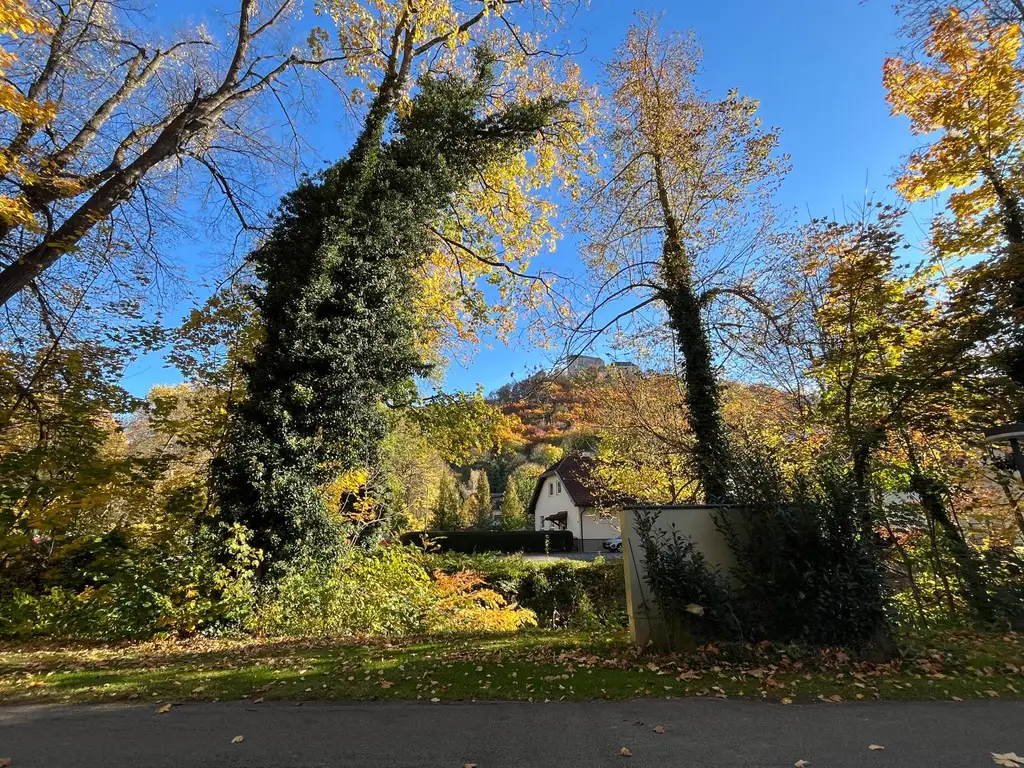 Wohnen wie im Urlaub - Bungalow im Schlosspark von Seebenstein zu mieten!