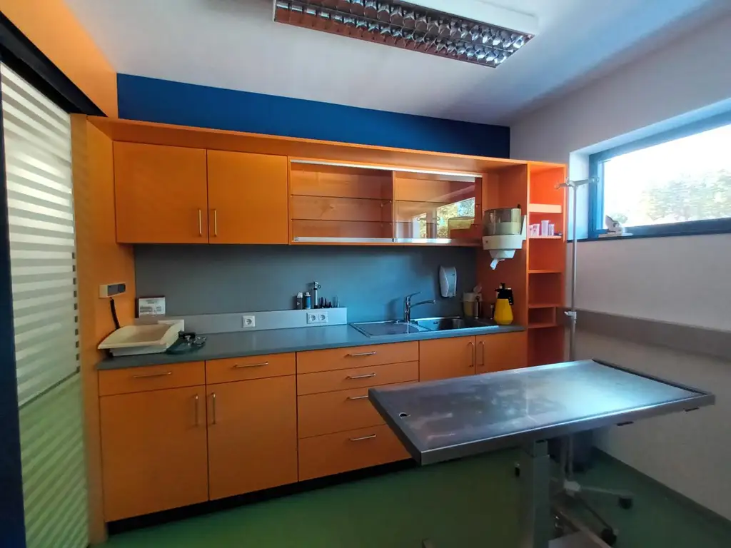 89,5 m² Tierarztpraxis, Ordination in Mürzhofen – sofort verfügbar