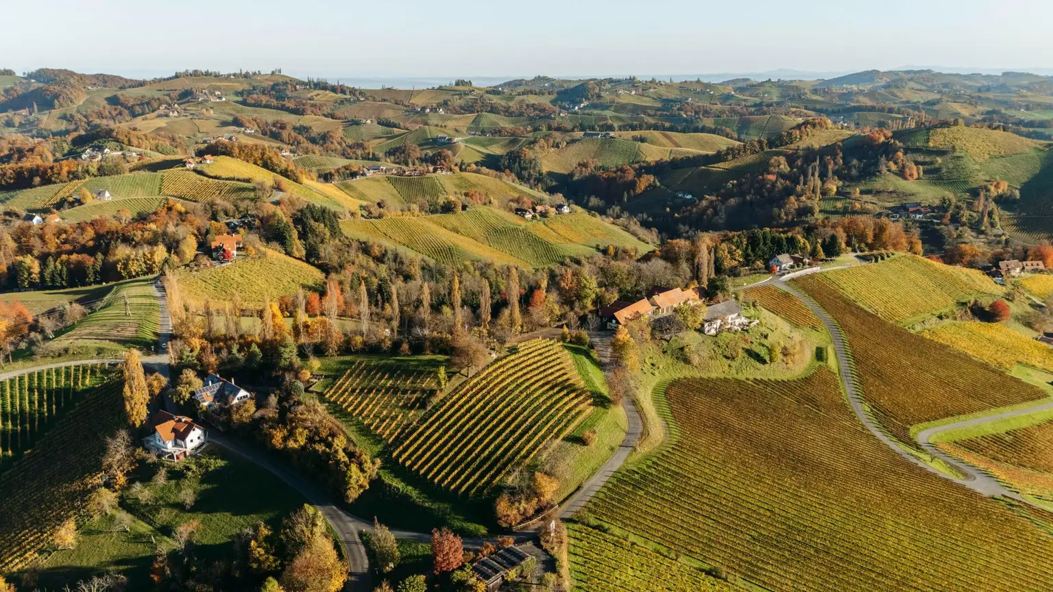 Buschenschank/Heuriger Eory zum Traubenkogel zu verkaufen!