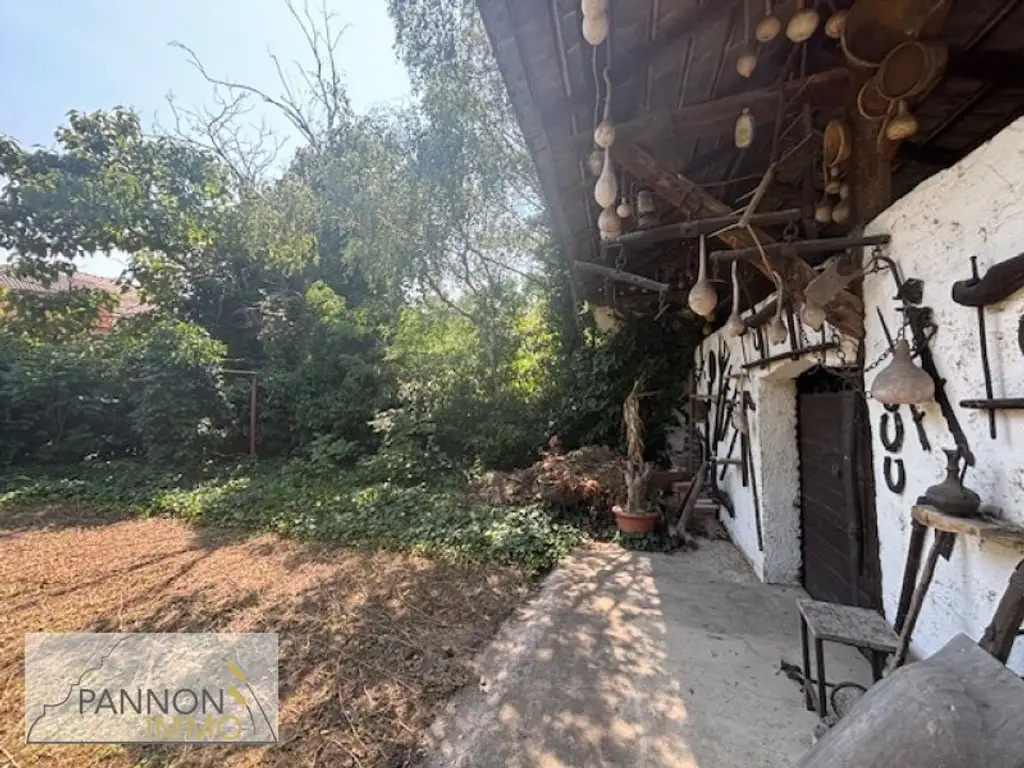 Pamhagen - Soldides Wohnhaus mit Gästezimmer und zahlreichen Möglichkeiten