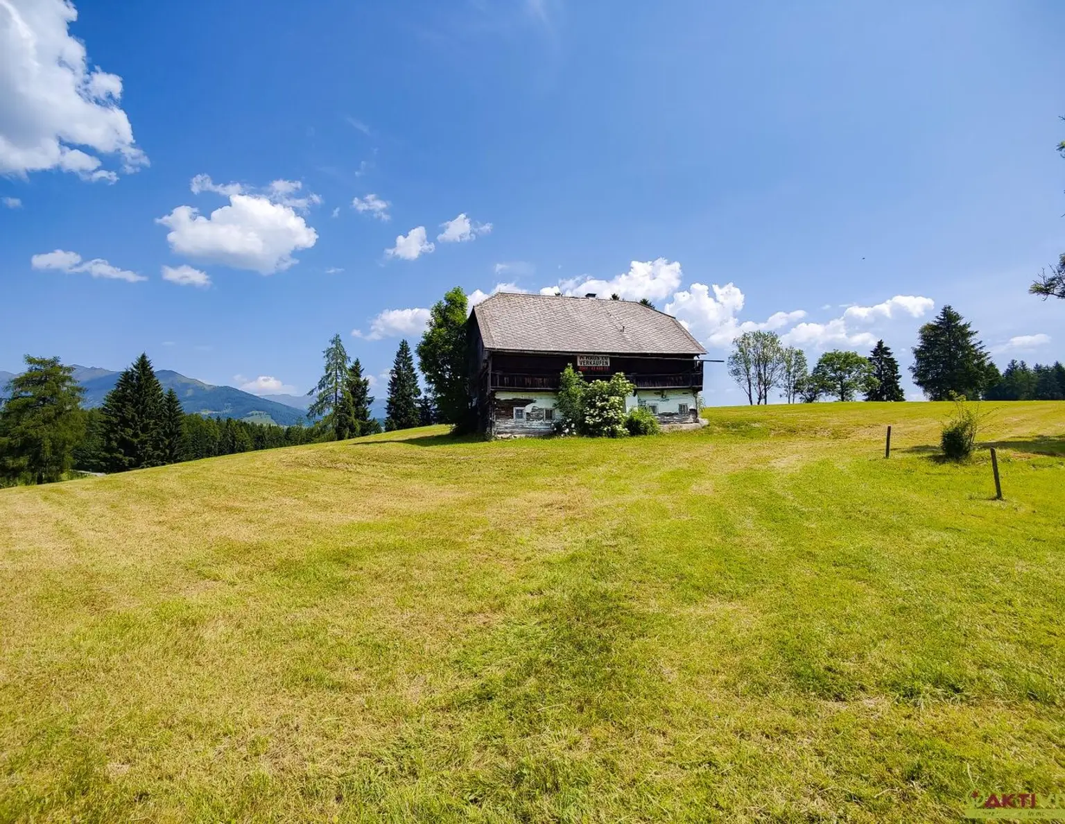 Großes Freiland-Grundstück mit Altbestand in Hochebenenlage bei Kammersberg.