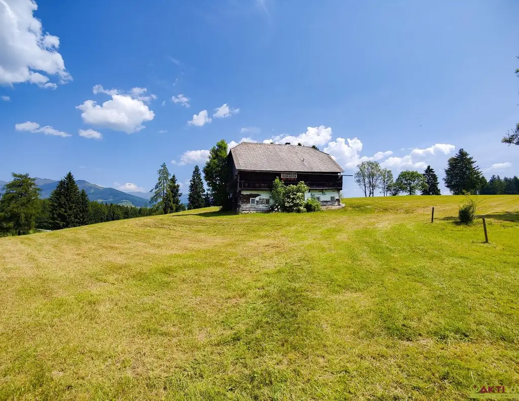 Großes Freiland-Grundstück mit Altbestand in Hochebenenlage bei Kammersberg.
