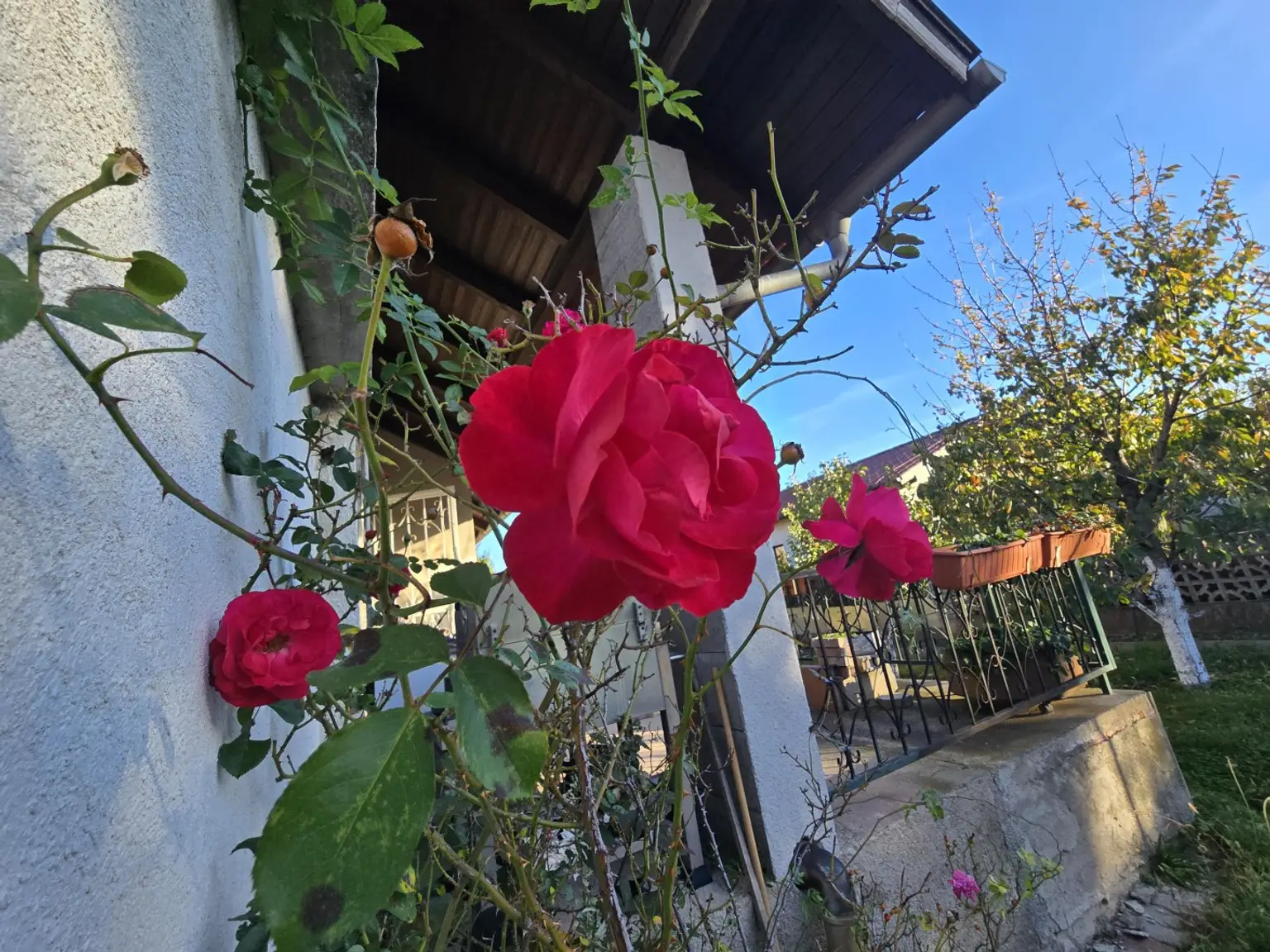 "Einfamilienhaus mit Potenzial und großem Garten – Theresienfeld "