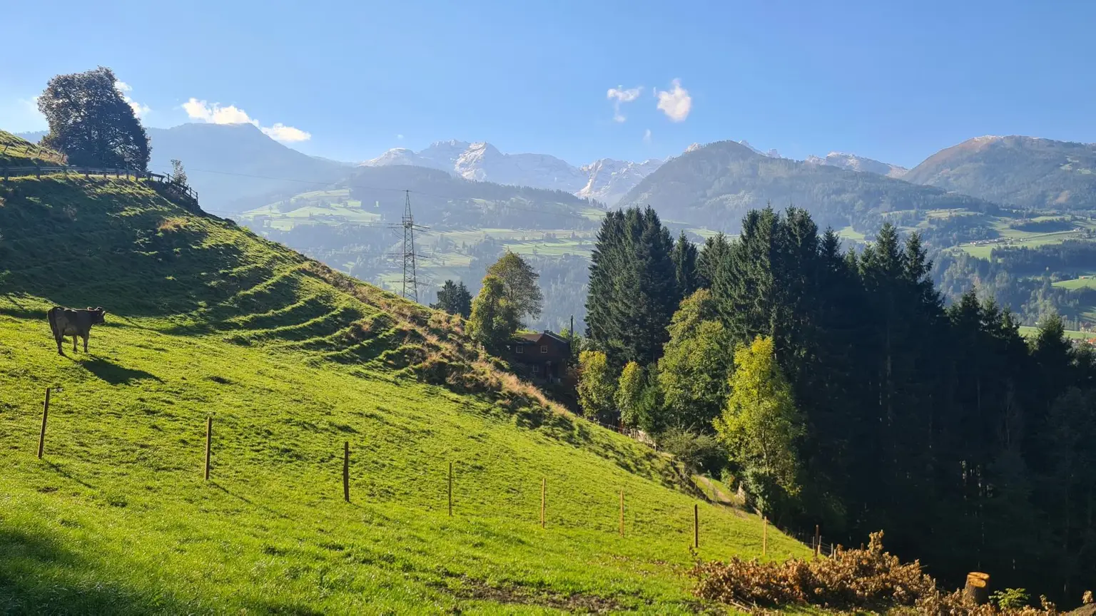 TOP Lage: Außergewöhnliche Neubauwohnung