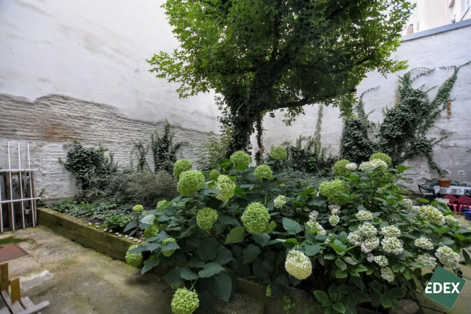 Wohnen, wo Wien am schönsten ist: Charmante 2-Zimmer-Wohnung in Währing