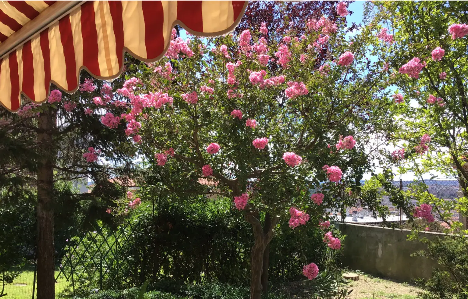 Gemütliches Apartment im Zentrum von Triest | Grün- und Ruhelage