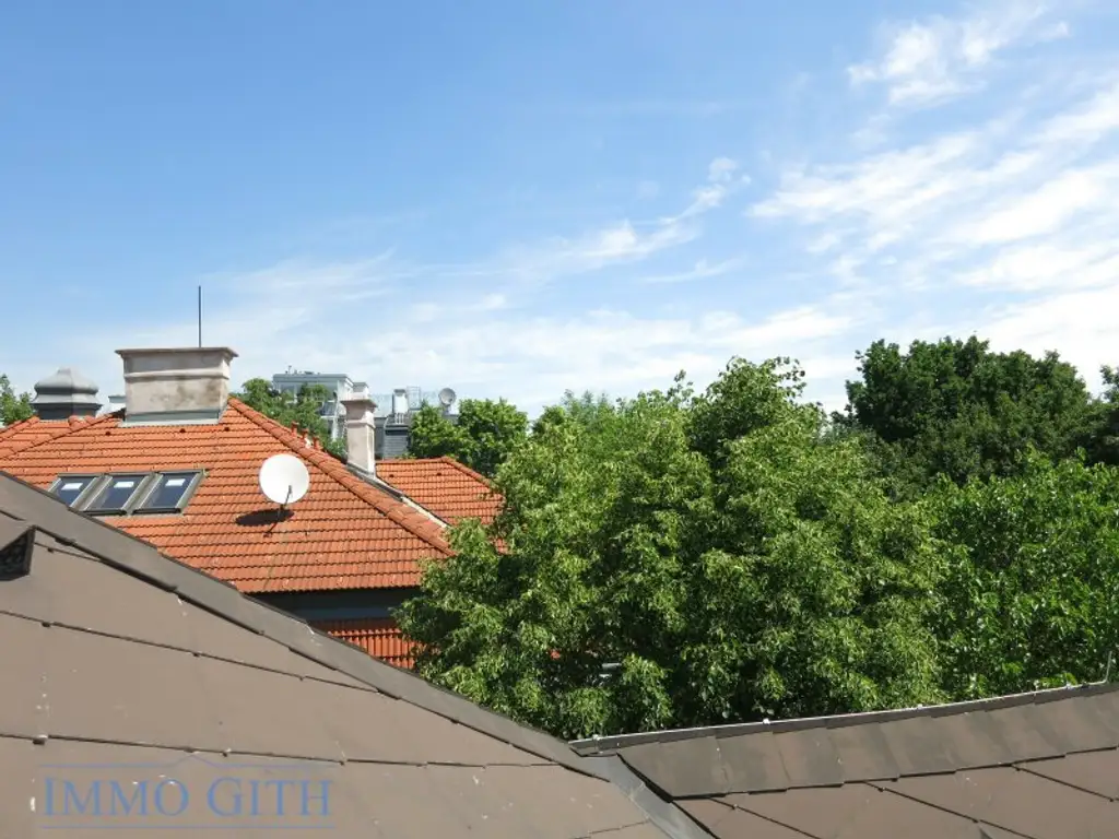 PROVISIONSFREI: PENTHOUSE MIT TERRASSE, LIFT UND KLIMA-ANLAGE IN HIETZINGER VILLA!