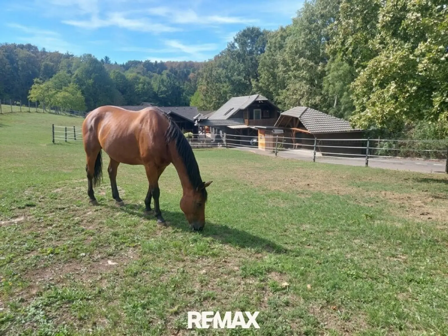 Mein Pferdehof