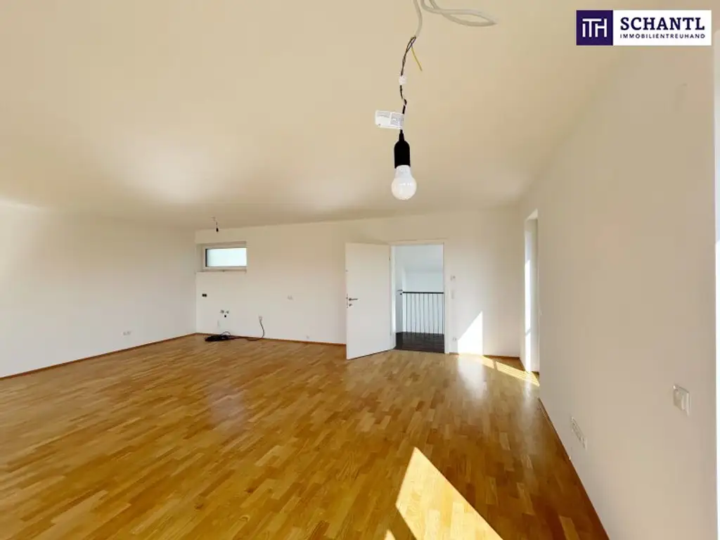 Modernes DOPPELHAUS mitten in den West-Steirischen WEINBERGEN - mit DOPPELGARAGE, GARTEN, TERRASSE & DACHTERRASSE!