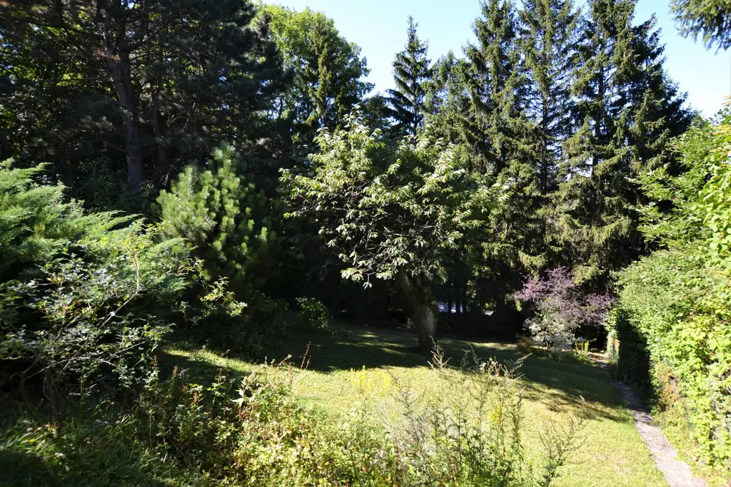 Baugrundstück im Augustinerwald - Naturidylle mit Hanglage