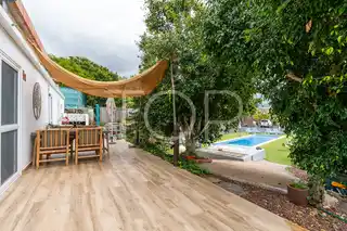 Anwesen-Chio-xxx-Teneriffa-10 (1)