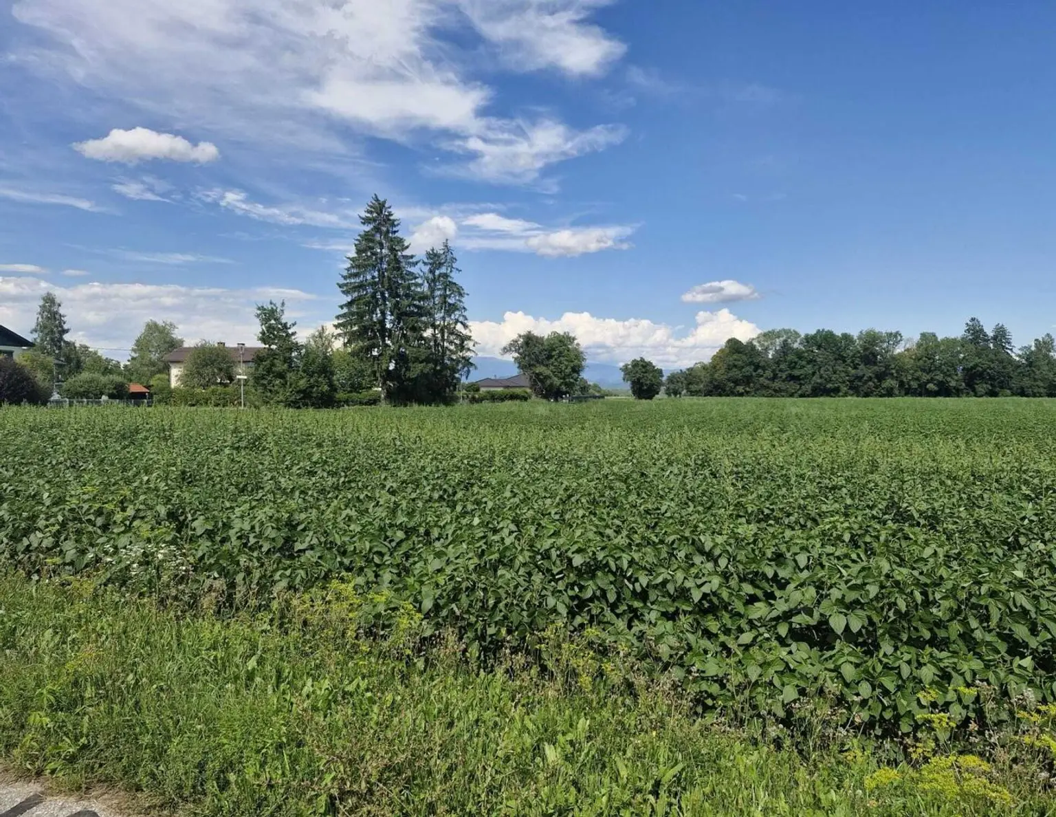 Traumhaftes Baugrundstück mit 3150 m² im Unterkärntner Seengebiet, Bergblick!