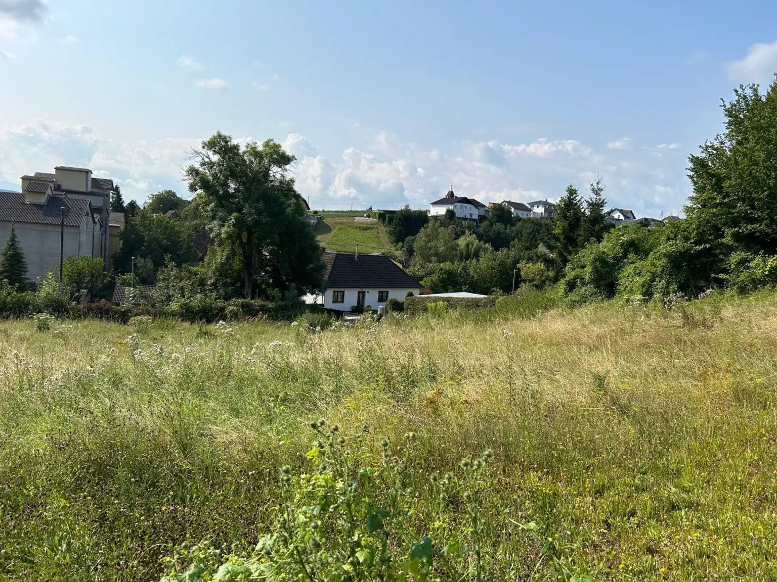 Foto von Süd