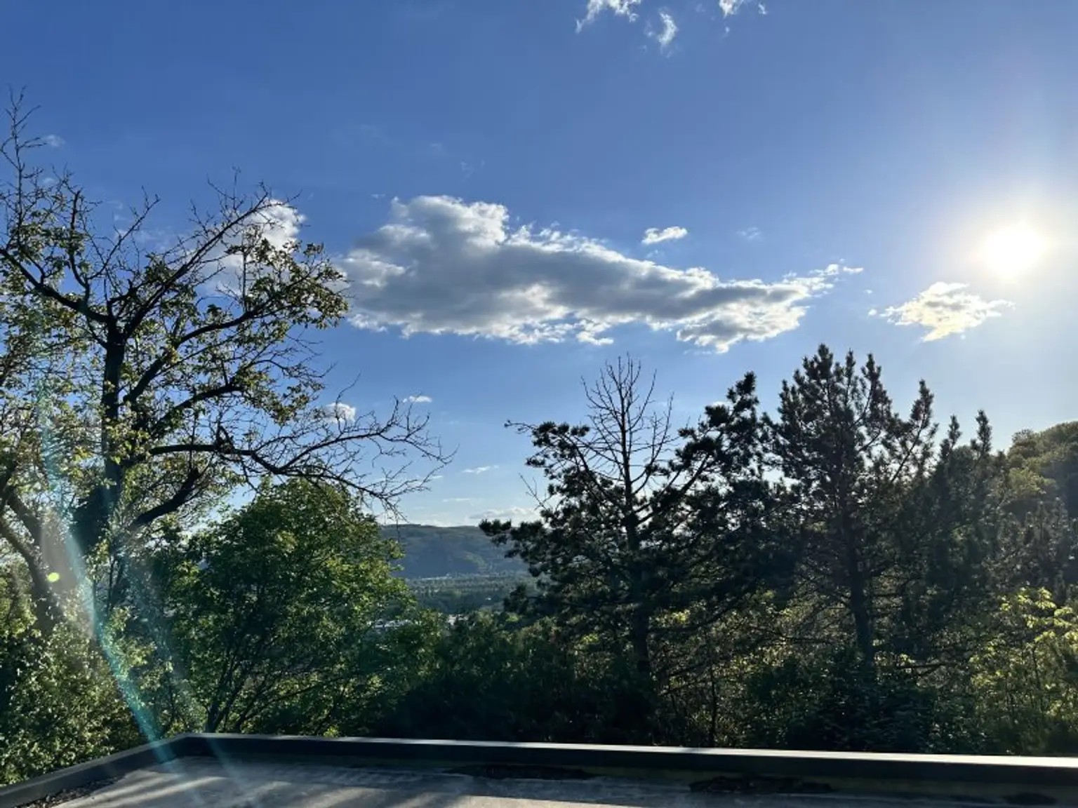 Ausblick