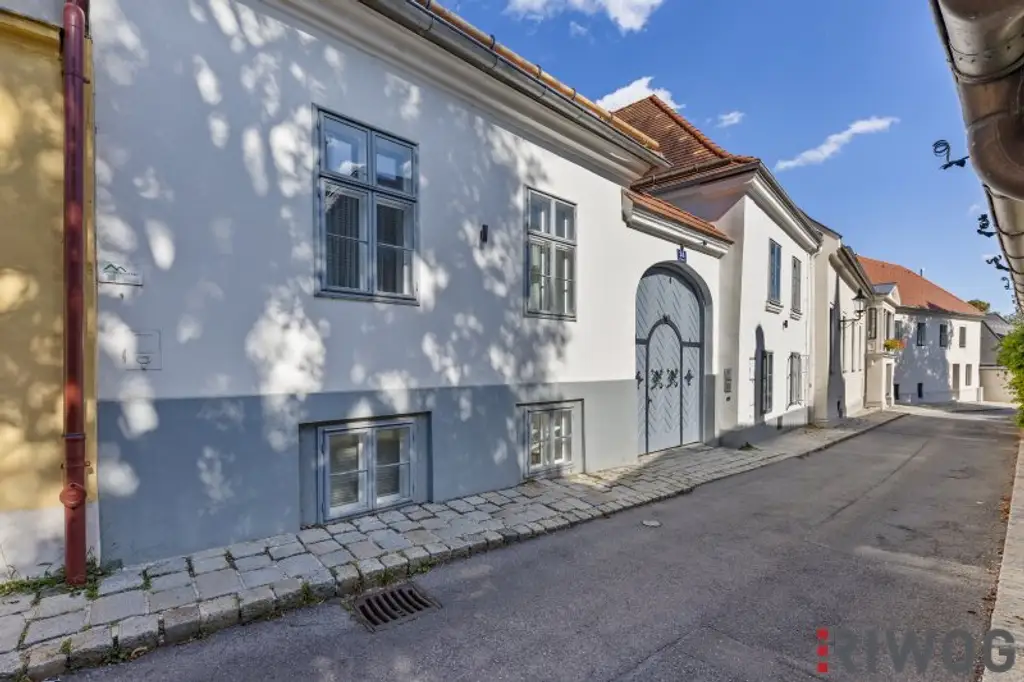 Domizil im Herzen von Grinzing - inklusive 90m² Dachterrasse und separater Büroeinheit I Praxis
