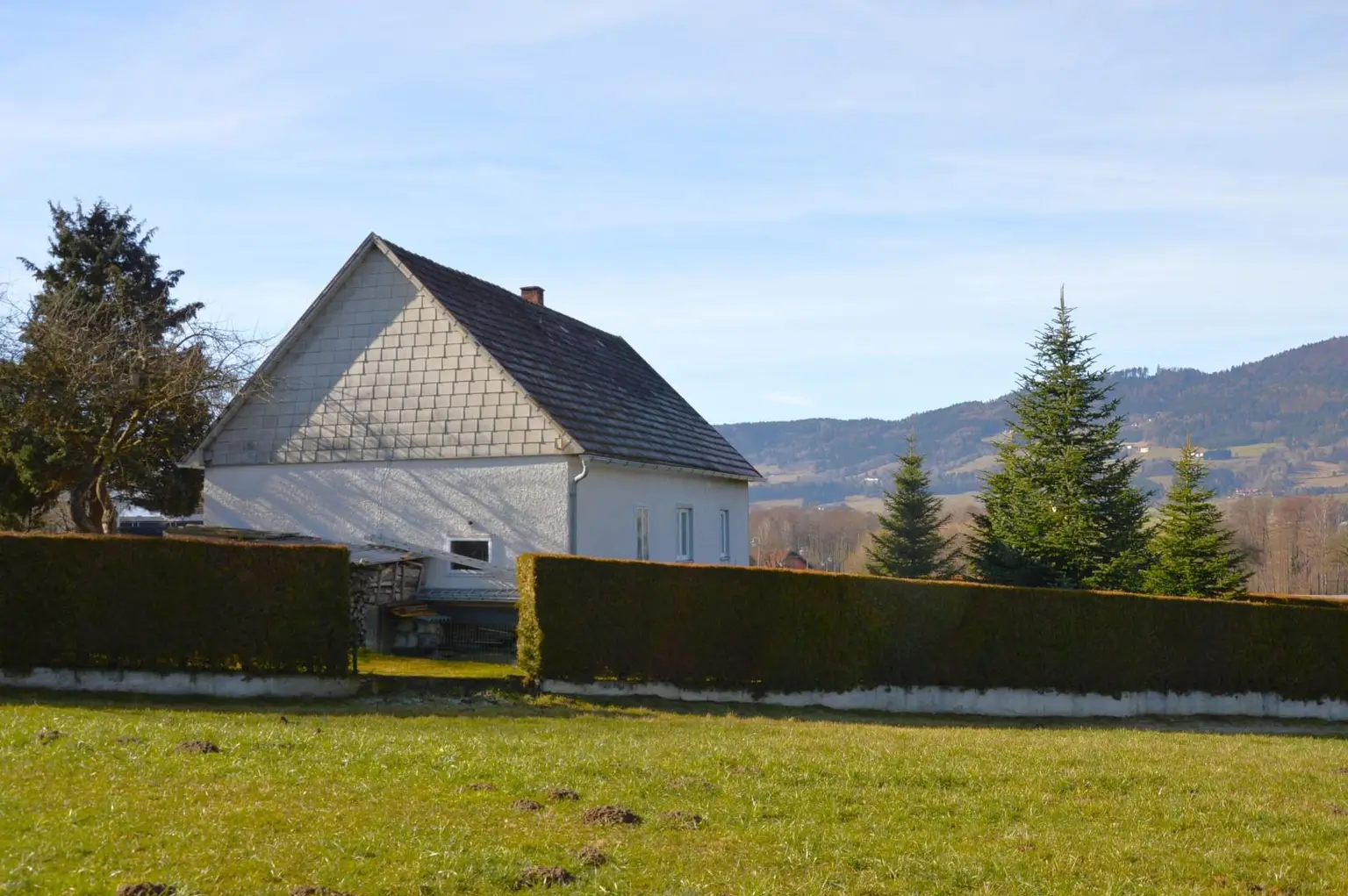 an Grünland grenzend